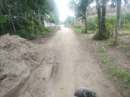 Kenapa? Ada Apa?? Bangunan Sier Yang Ada Di Desa Srimulyo
