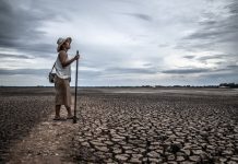 BMKG: Waspada Kekeringan Meteorologis 2024 di Indonesia – Langkah Mitigasi dan Kesiapsiagaan Ilustrasi tanah kekeringan