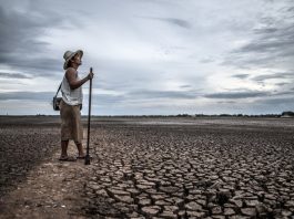 BMKG: Waspada Kekeringan Meteorologis 2024 di Indonesia – Langkah Mitigasi dan Kesiapsiagaan Ilustrasi tanah kekeringan