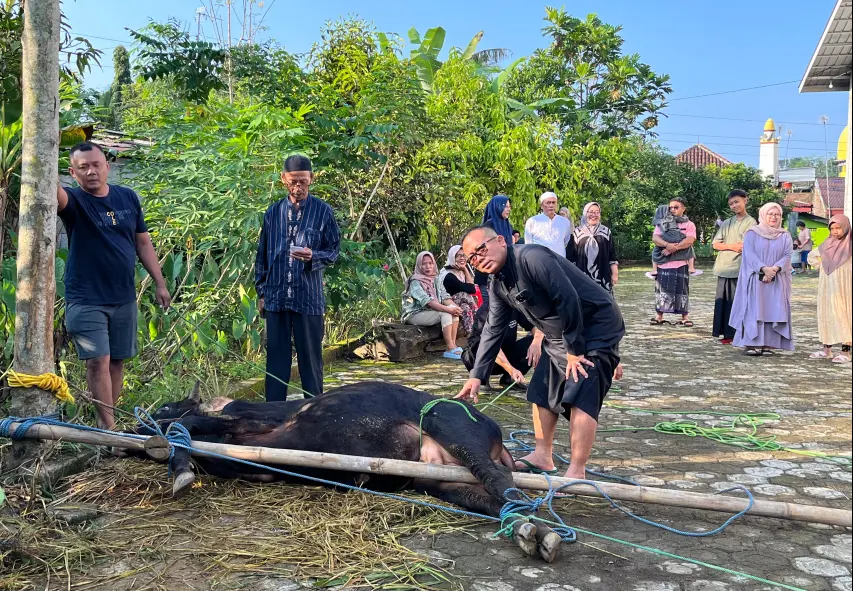 Dr. R. Natanegara Kartika Purnama, S.E., M.Si sedang memegang sapi yang akan di sembelih
