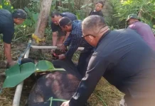 Sekretaris Badan Strategi Kebijakan Hukum dan HAM Potong Kurban di Kampung Halaman Dr. R. Natanegara Kartika Purnama, S.E., M.Si ikut membantu proses penyembelihan hewan kurban