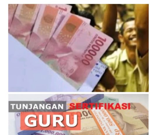 Diduga BPKAD Tutup Aplikasi, Ribuan Tenaga Pendidik Gaji 13 Dan 14nya Tak Terbayarkan 2024