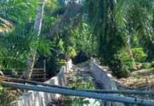 Anggaran Dana Desa Tahun 2024 Pemerintahan Desa Pagar Gunung Membangun Tebat Embong Dan Siring Yang Terletak Di Permukiman Masyarakat