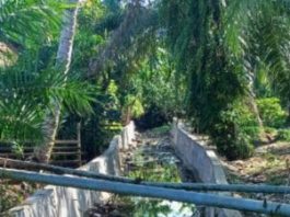 Anggaran Dana Desa Tahun 2024 Pemerintahan Desa Pagar Gunung Membangun Tebat Embong Dan Siring Yang Terletak Di Permukiman Masyarakat