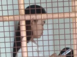 Terdakwa Selalu Di Bawa Tanpa Ada Jadwal Sidang, Jaksa Marah Terdakwa Selalu Di Bawa Tanpa