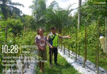 Dukung Ketahanan Pangan,Bhabinkamtibmas Desa Nusa Bali Cek Tanaman Cabai Milik Warga Binaan