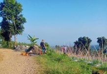 “Kasus Blok 12 Cipare : Lahan Petani Terancam, Sertipikat PRONA Jadi Sorotan”