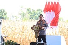 Kegiatan Panen Raya Jagung Serentak Kuartal III Dalam Rangka Mendukung Swasembada Pangan Tahun 2025 Diwilayah Polres Oku Timur Polda Sumsel