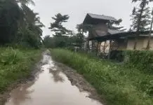 AKSES WARGA DUSUN 6 SEI RAJA MELAWAN, RUSAK PARAH DAN DITUTUPI RUMPUT TINGGI, PTPN IV KEBUN AJAMU AKUI MASUK HGU DAN JANJI AKAN PERBAIKI.