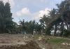 Galian Parit di Dermaga Ajamu PTPN IV Jadi Tanda Tanya, Manager Pilih Bungkam saat Ditanya Soal PL dan Panjang Parit.